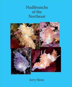 NUDIBRANCHS OF THE NORTHEAST Shine J.  2012