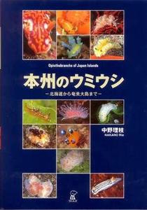 OPISTHOBRANCHS OF JAPAN ISLANDS Nakano R.  2004