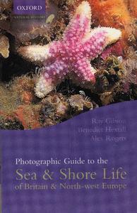 PHOTOGRAPHIC GUIDE TO THE SEA & SHORE LIFE OF BRITAIN & NORTH-WEST EUROPE Gibson R. Hextall B., Rogers A. 2001