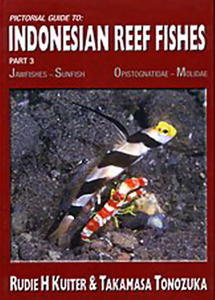 PICTORIAL GUIDE TO INDONESIAN REEF FISHES. Part 3. Jawfishes-Sunfish Opistognatidae-Molidae Kutter R.H. & Tonozuka T.  2004