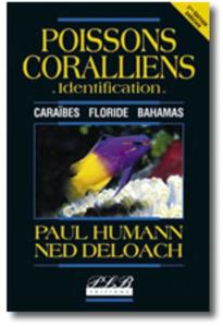 POISSONS CORALLIENS - IDENTIFICATION - FLORIDE, CARAIBES, ANTILLES Humann P. Deloach N. 2004