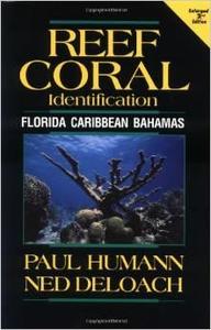 REEF CORAL IDENTIFICATION : FLORIDA, CARIBBEAN, BAHAMAS, INCLUDING MARINE PLANTS Humann P. Deloach N. 1996