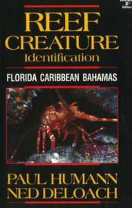 REEF CREATURES IDENTIFICATION - FLORIDA CARIBBEAN BAHAMAS Humann P. Deloach N. 1993