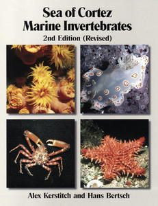 SEA OF CORTEZ - MARINE INVERTEBRATES Kerstitch A., Bertsch H.  2007
