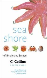 SEA SHORE OF BRITAIN AND EUROPE Hayward P. Nelson-Smith T., Shields C. 1996