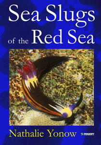 SEA SLUGS OF THE RED SEA Yonow N.  2008