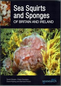 SEA SQUIRTS AND SPONGES OF BRITAIN AND IRELAND Bowen S. Goodwin C., Kipling D., Picton B. 2018