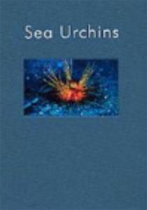 SEA URCHINS :  A GUIDE TO THE WORLDWIDE SHALLOW-WATER SPECIES Schultze H.  2005