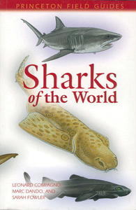 SHARKS OF THE WORLD Compagno L., Dando M., Fowler S.  2005