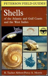 SHELLS OF THE ATLANTIC AND GULF COASTS AND THE WEST INDIES Tucker Abbott R.  Morris P.A.  1995