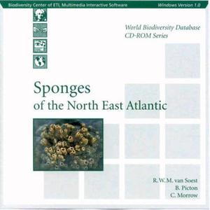 SPONGES OF THE NORTH EAST ATLANTIC Van Soest R.W. Picton B., Morrow C. 2000