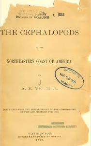 THE CEPHALOPODS OF THE NORTH-EASTERN COAST OF AMERICA Verrrill A E.  1882