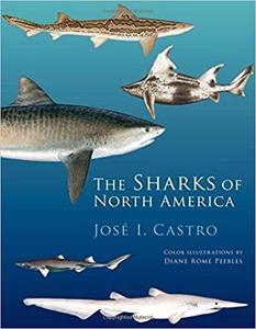 THE SHARKS OF NORTH AMERICA Castro J.I. Peebles D. 2011