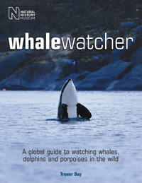 WHALE WATCHER Day T.  2006