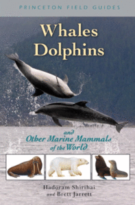 WHALES, DOLPHINS AND OTHER MARINE MAMMALS OF THE WORLD Shirihai H. Jarrett B. 2006