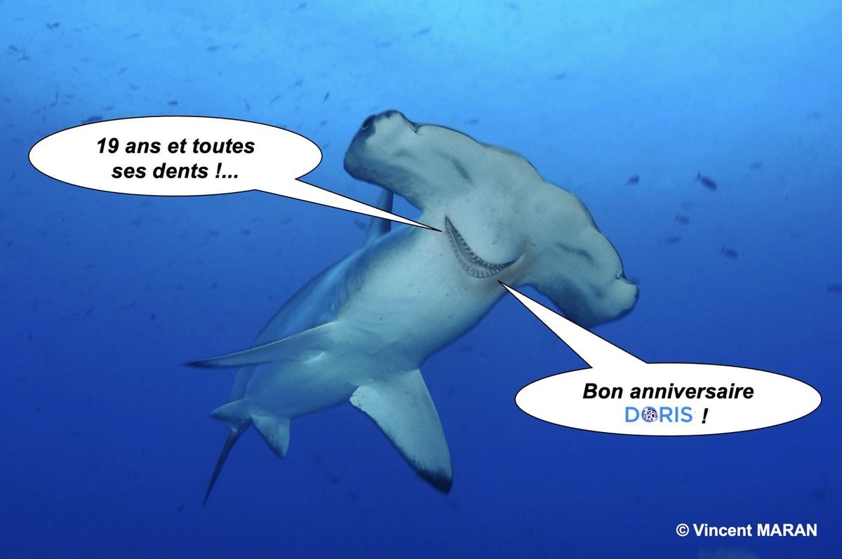 <p>Bon anniversaire DORIS !</p>