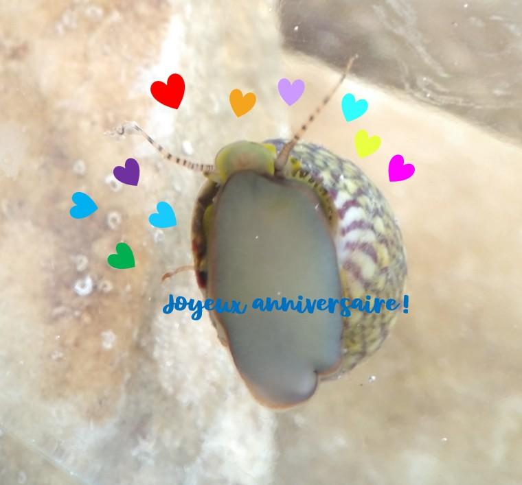 <p>Merci pour DORIS et à Bruno pour Beatles également. J'adore les deux :)</p><p>Bon anniversaire !!!</p>