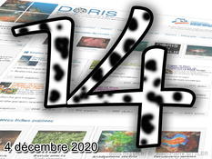 4 décembre 2020