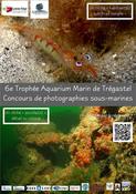 6ème concours de photo sous-marine AMT