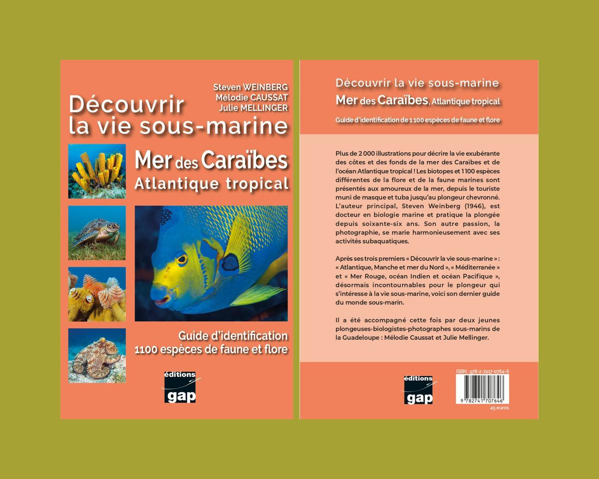 Actualités Nouveauté Caraïbes Atlantique tropical