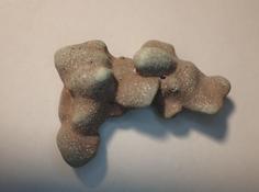 Algue rouge encroûtante ?