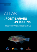 Atlas des post-larves de poissons de Méditerranée occidentale 