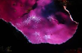 belle déco, mais qui a fait ça ?