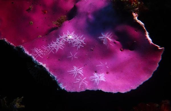 belle déco, mais qui a fait ça ?