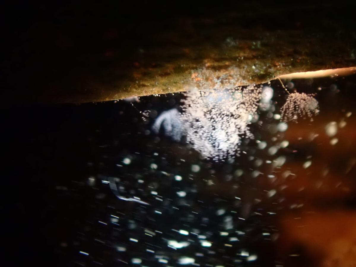 <p>elles se ressemblent un peu toutes, a l’œil cela ressemblait à un Spirograph en petit (un truc de 3mm on voit pas bien). Sur la photo très agran...