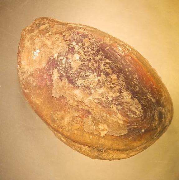 C'est quoi au juste?