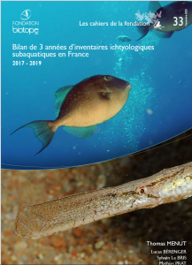 Cahier 33 : Bilan de 3 années d’inventaires ichtyologiques subaquatiques en France