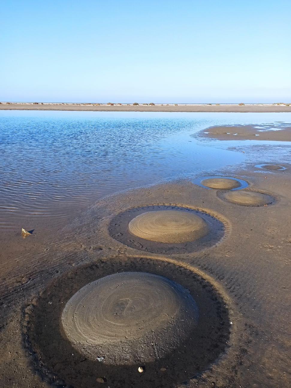 cercles étranges dans le sable à Beauduc?