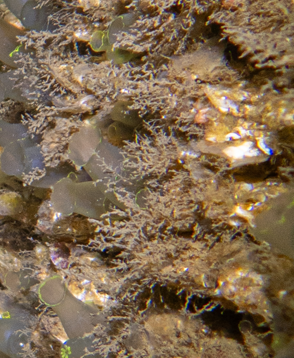 Ces trucs fixés que l'on voit partout