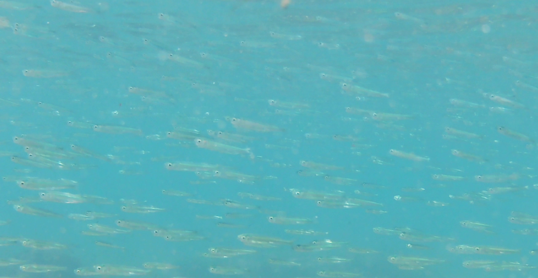 <p>Photo complémentaire</p>