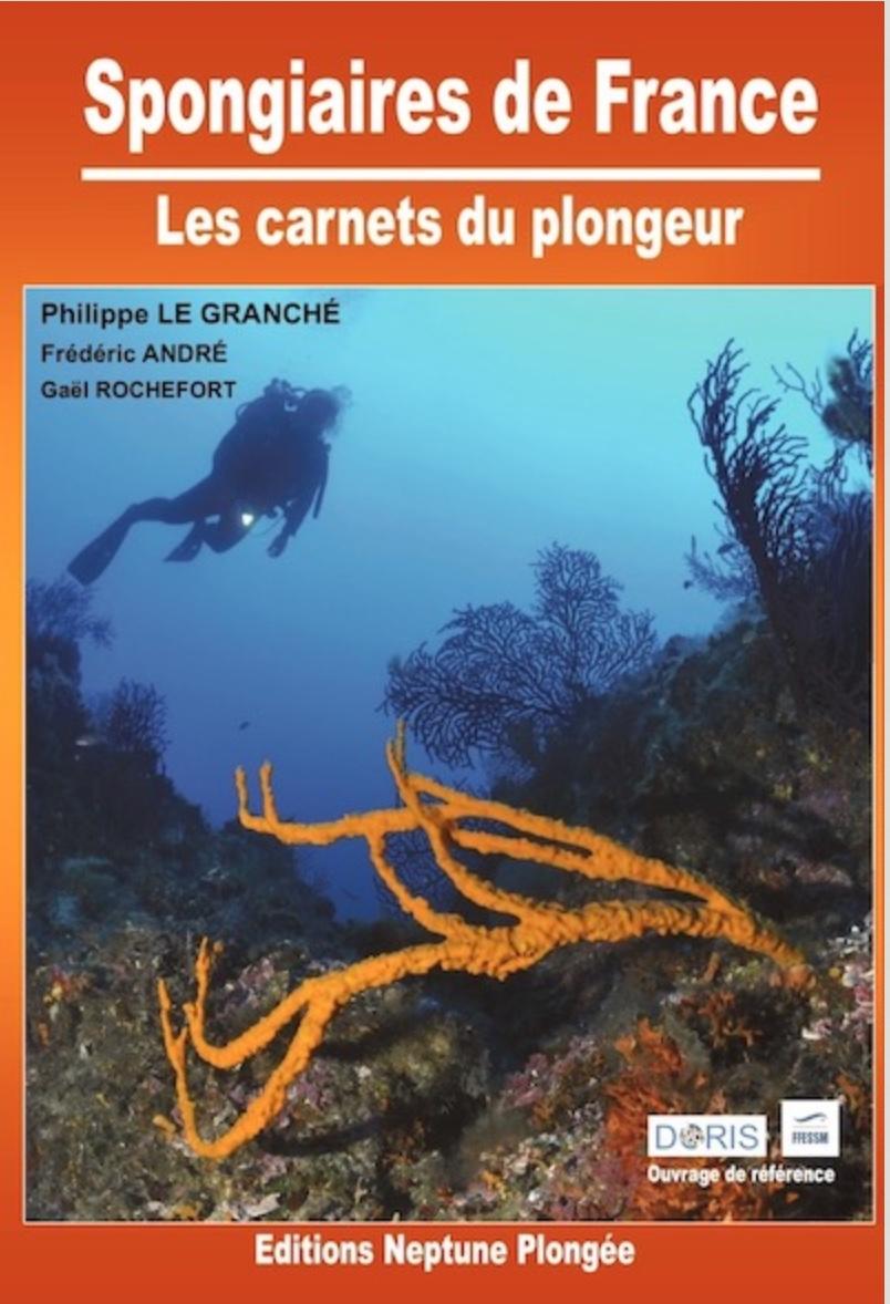 <p>Tu as la réponse avec de magnifiques dessins dans ce guide :-) <a href="https://ed-neptune-plongee.monsite-orange.fr/spongiairesdefrance/index.h...