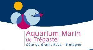 Concours photo Aquarium de Trégastel