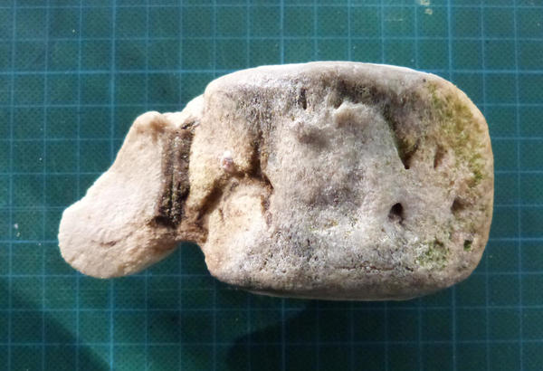confirmation: vertèbre de cachalot ?