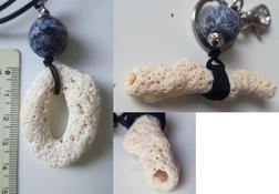 Corail ou Bryozoaires?