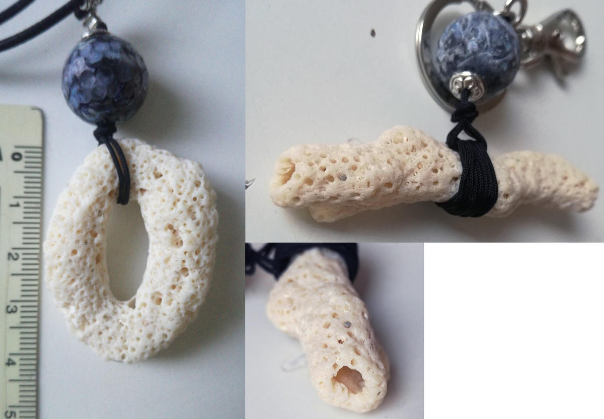 Corail ou Bryozoaires?
