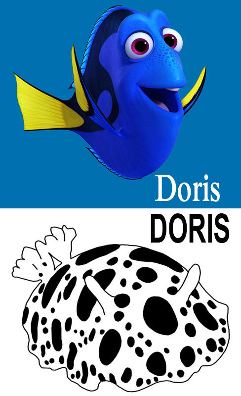 <p>Le monde de Doris certes, Michel, mais le monde de <strong>DORIS </strong>aussi !  <img src="/extension/doris/design/doris/images/emoticones/smi...