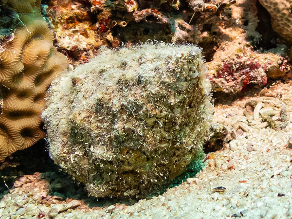 demande d'identification