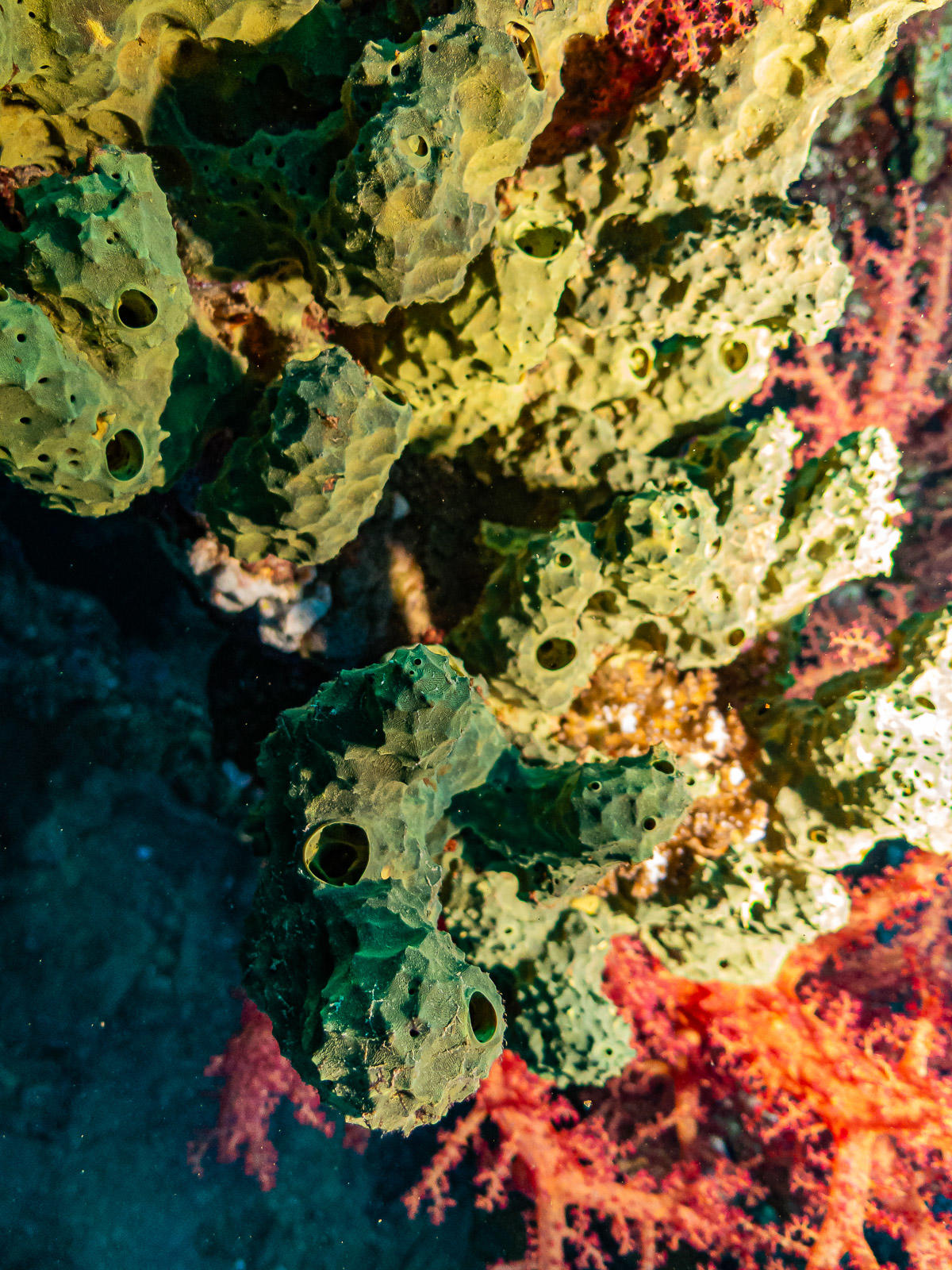 demande d'identification