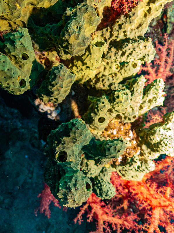 demande d'identification