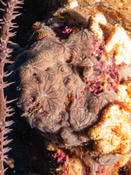 demande d'identification