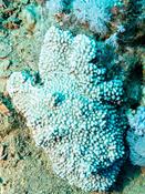 demande d'identification