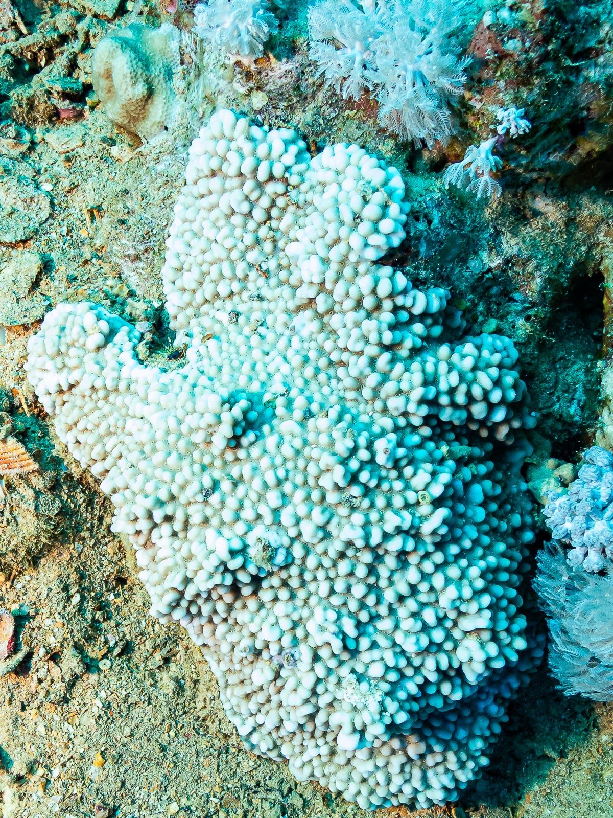 demande d'identification