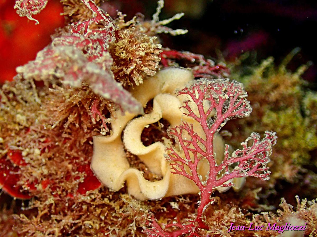 demande d'identification