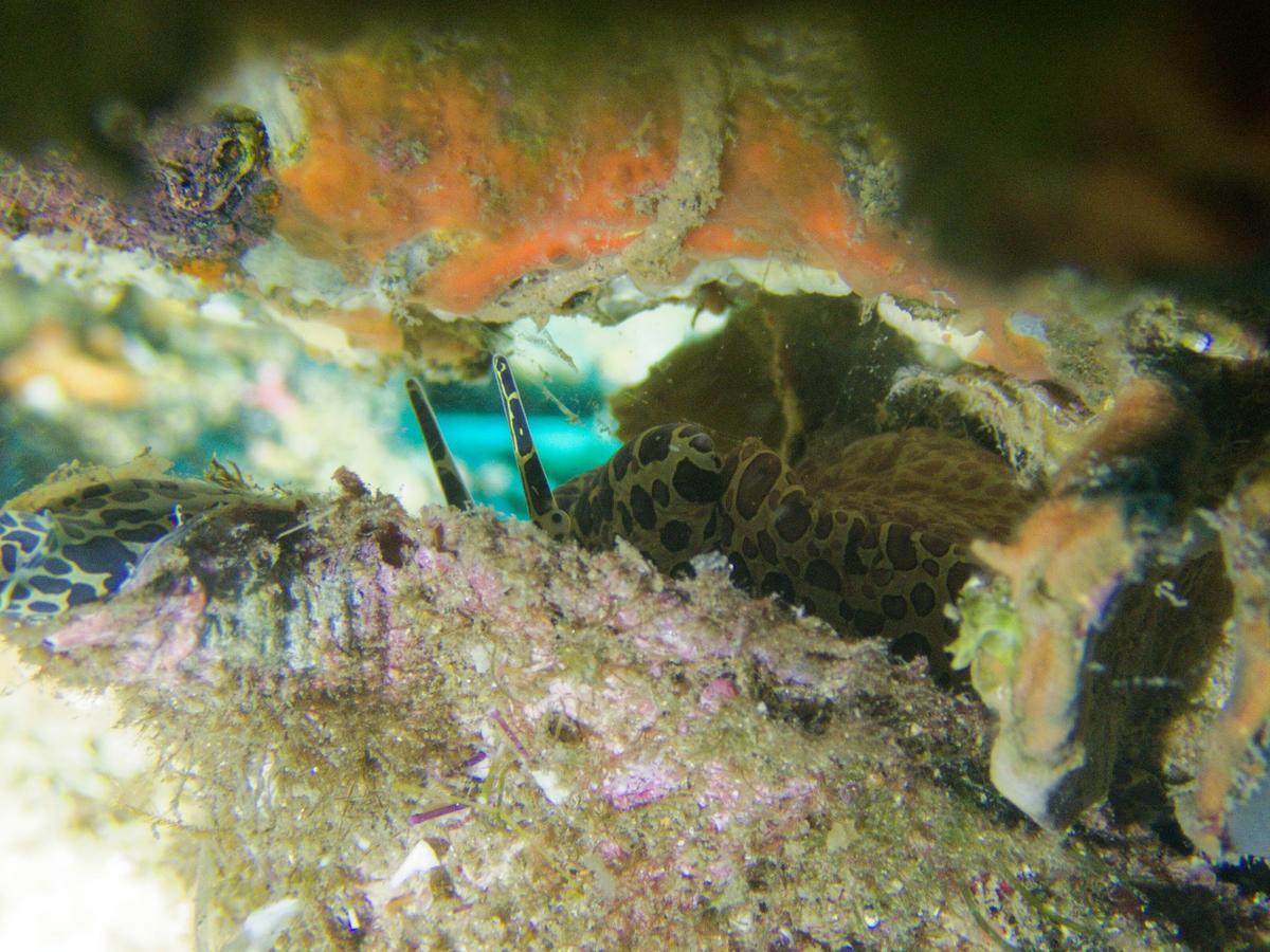 Demande d'identification 