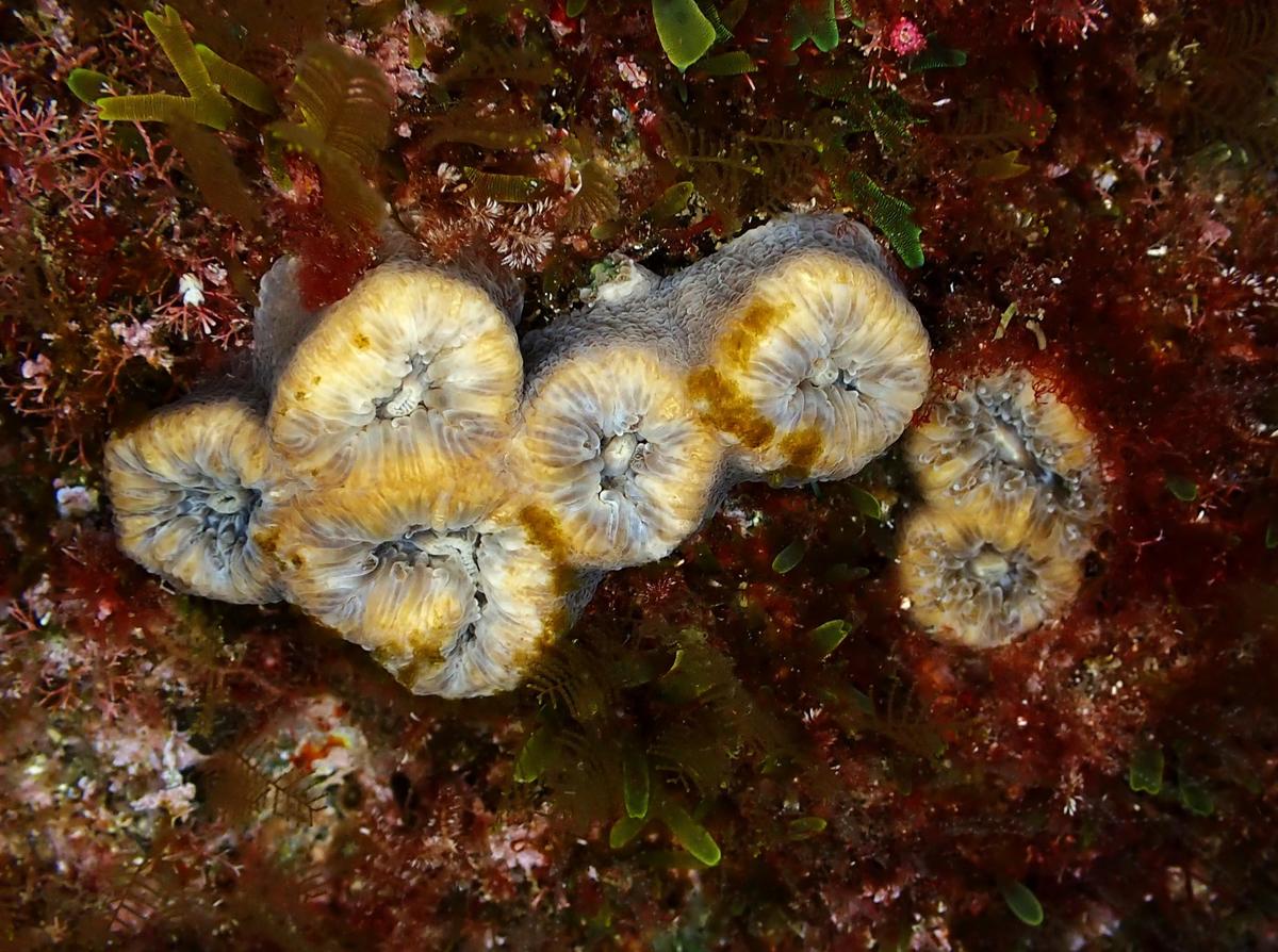 demande de renseignement sur une action