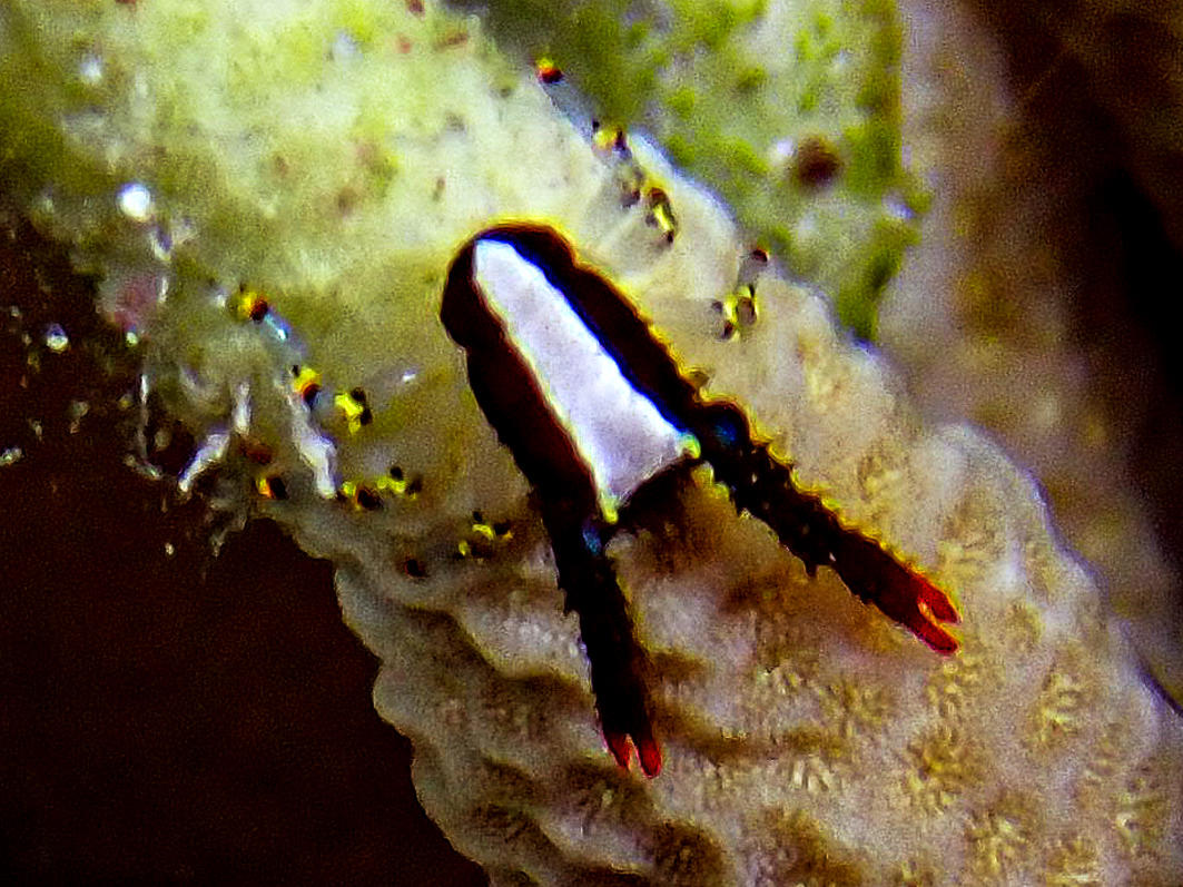 Demande identification